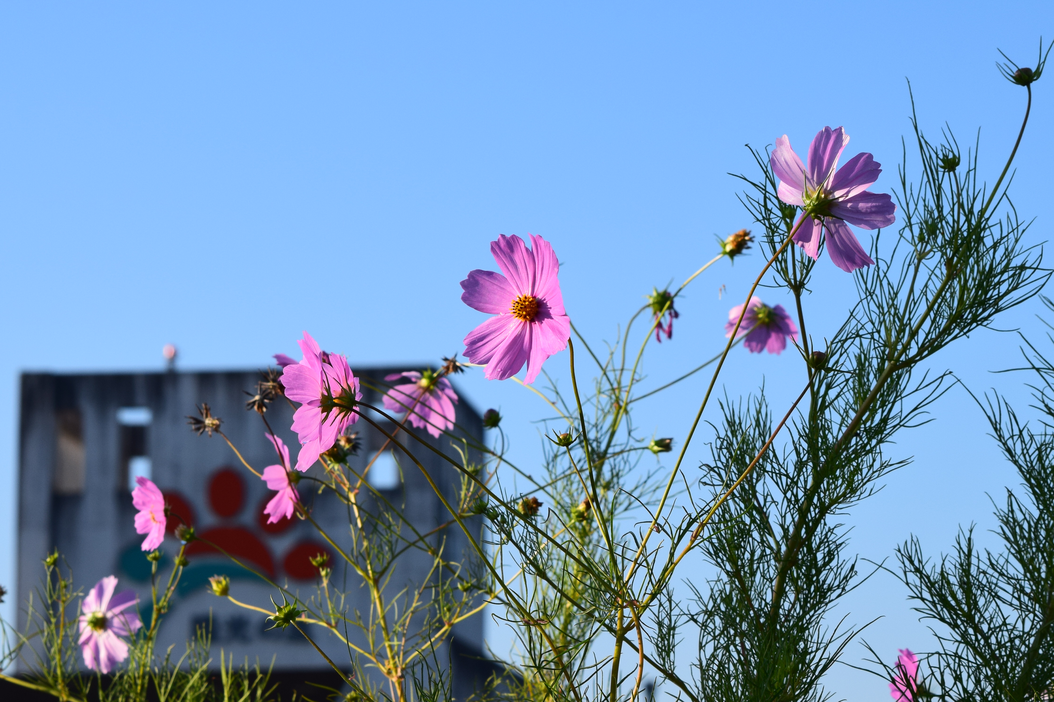 個人情報保護基本指針 | 陽光の里